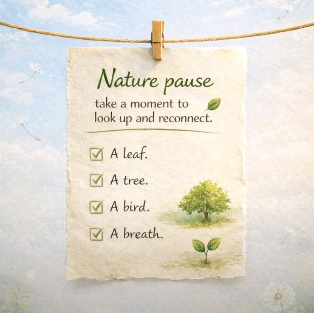 Nature Pause
