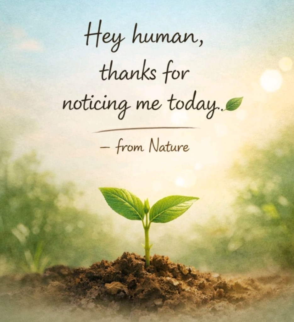 Thanks from Nature